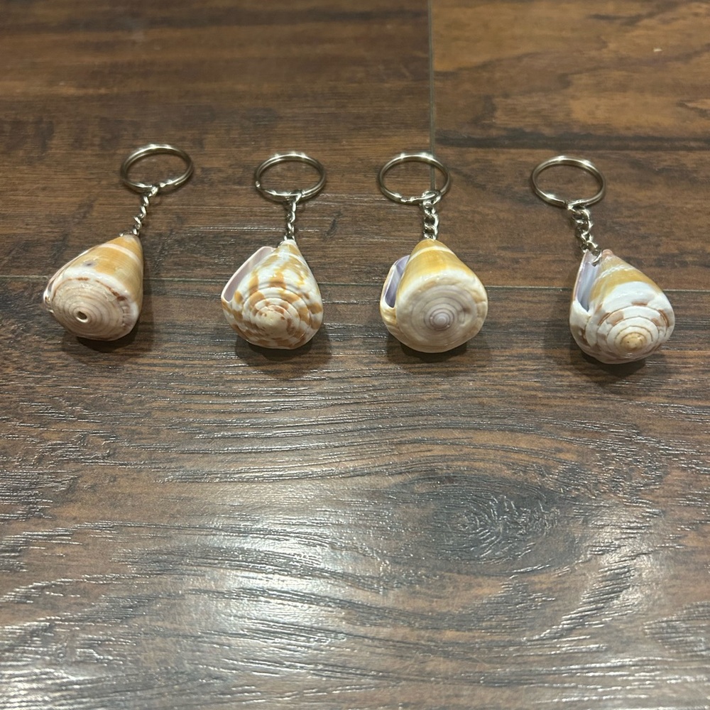 Cone Shell Keychain Set - Picture 3 of 5